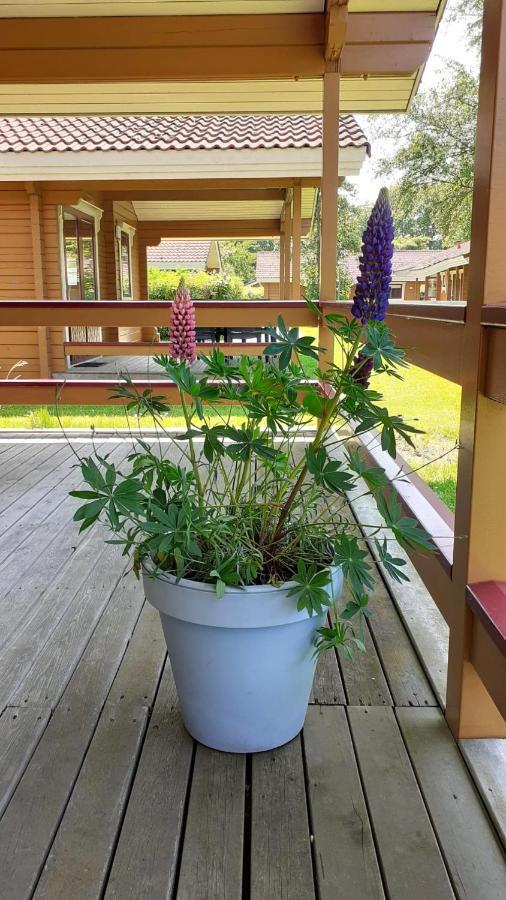 Lupine Lodge Gramsbergen Eksteriør bilde